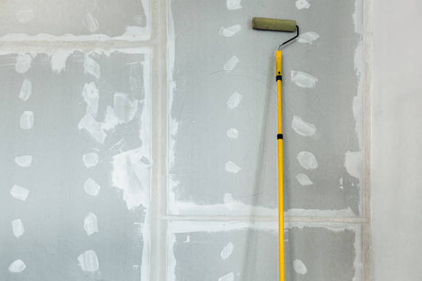 Best Basement Mold Removal  in West End, NY