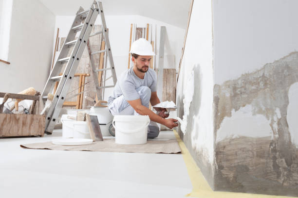 Professional Mold Removal in West End, NY